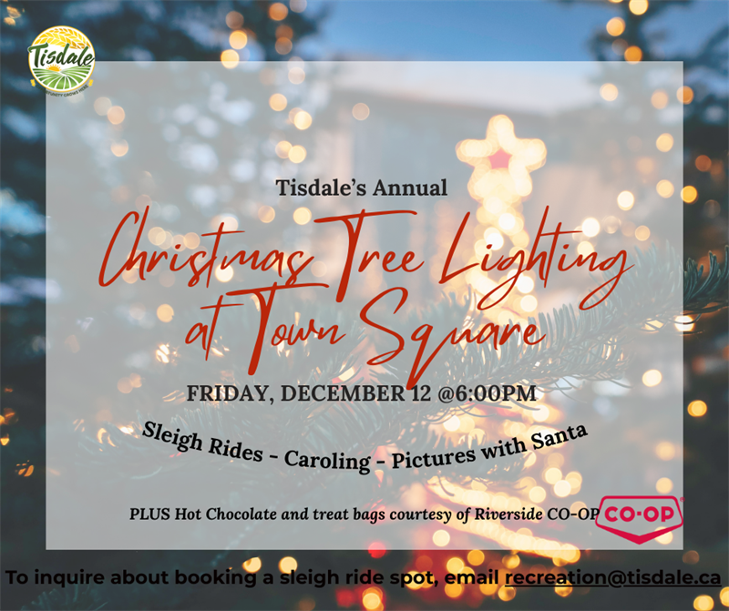 2025_Christmas_Tree_Lighting_