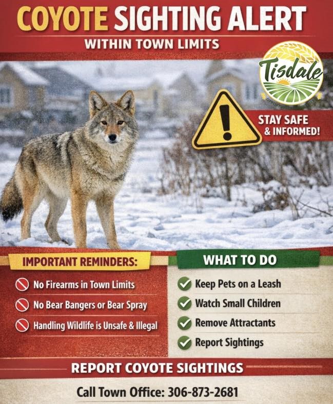 Coyote_Sighting_Alert