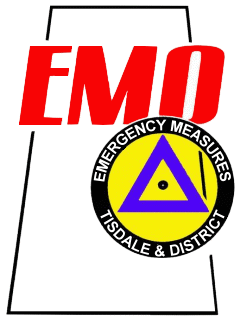 logo_emo